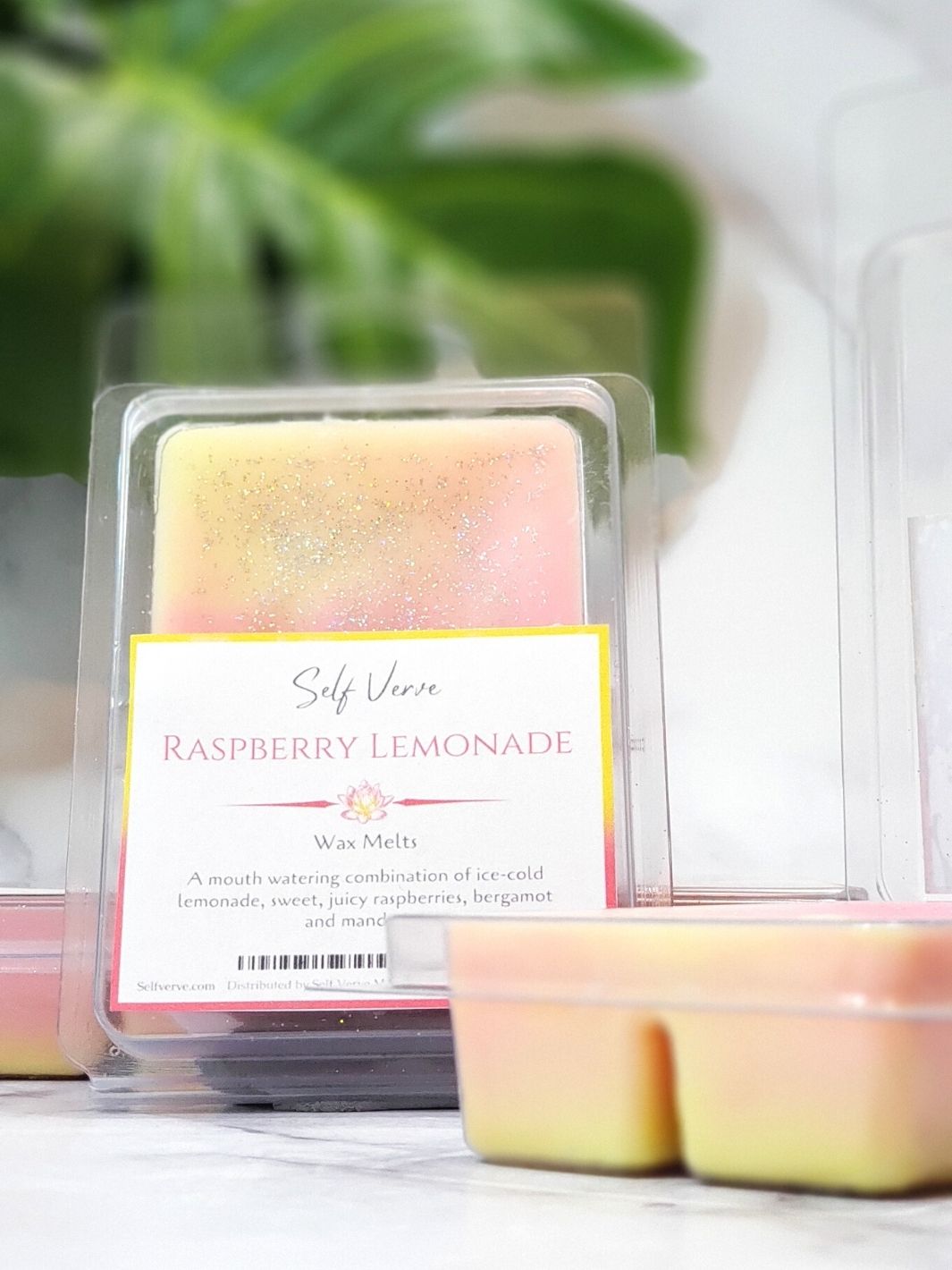 Raspberry Lemonade Clamshell Wax Melts