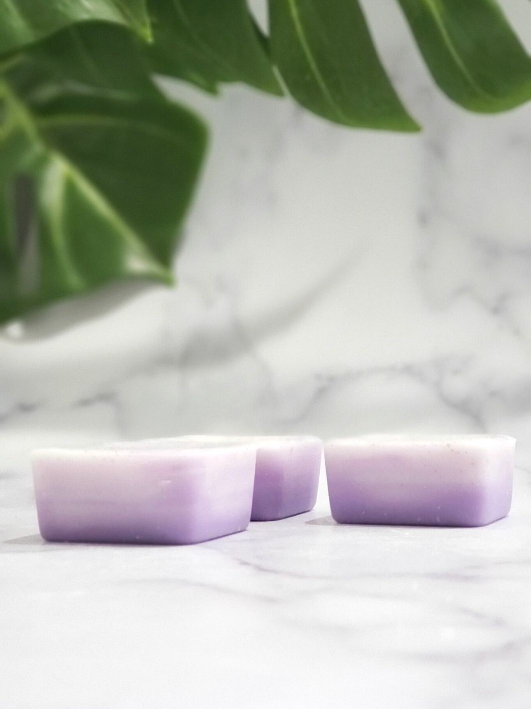 Lavender Vanilla Wax Melts